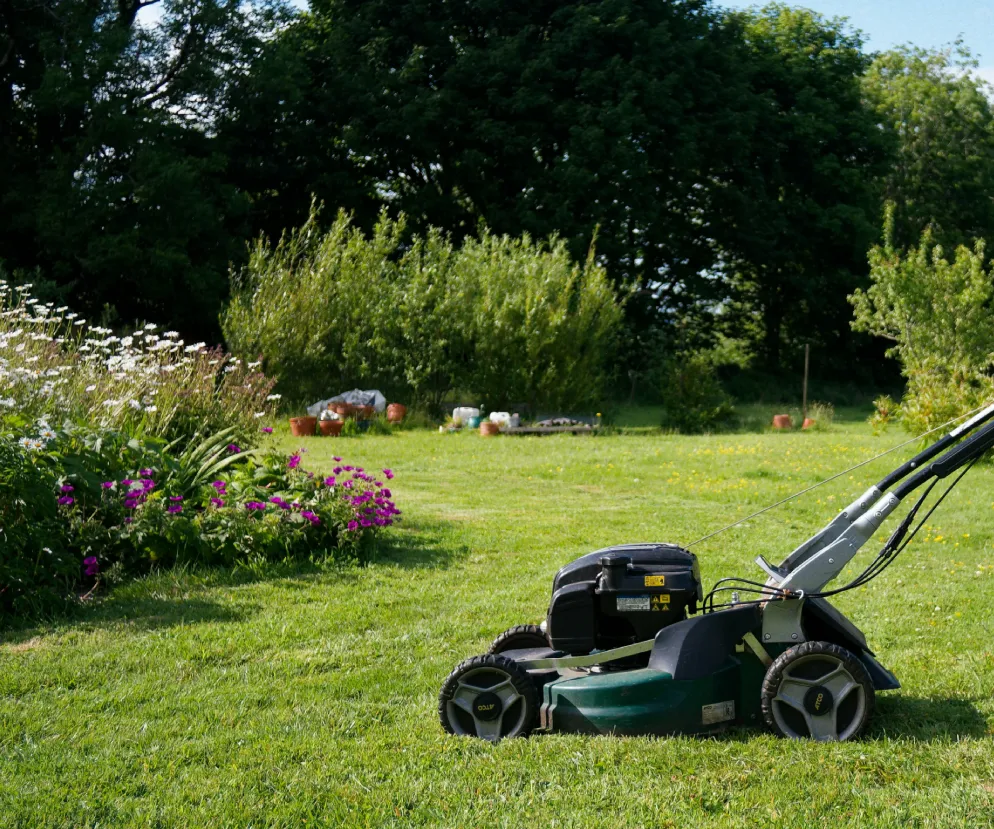 Equipment rental