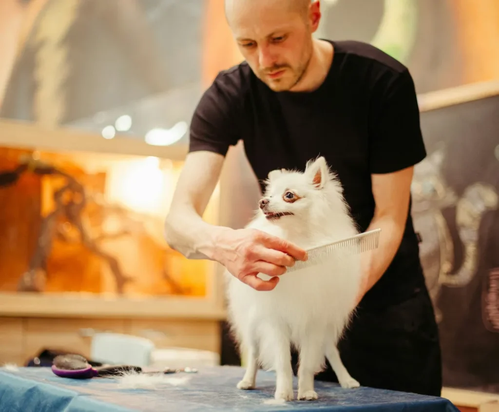 Pet Grooming